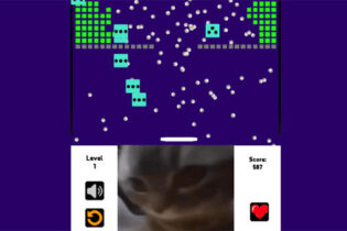 猫ミームのブロック崩しゲーム【チピチャパ猫】 