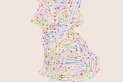 カラーラインブラスト・アローのプレイ画像