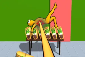 ファン ラグドールチャレンジ