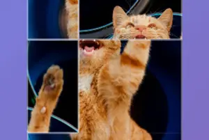 写真を完成させる入れ替えパズル【ジグマージパズル（Jigmerge Puzzles）】