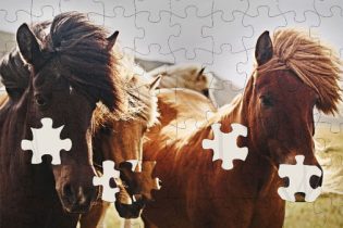 ウマのジグソーパズルゲーム JIGSAW PUZZLE HORSES EDITION